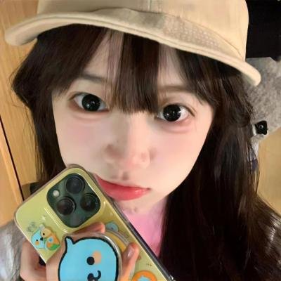 科搜研之女2022