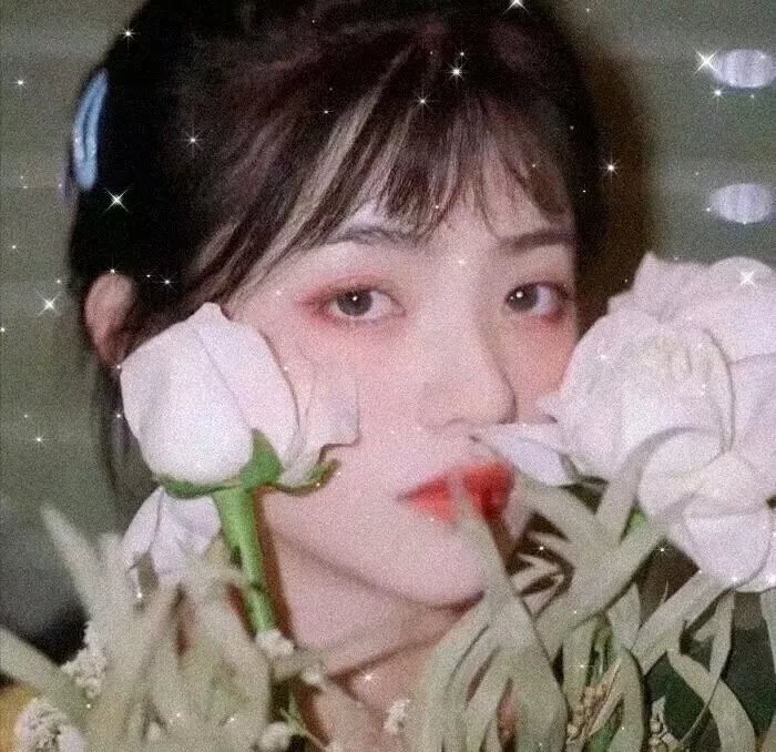 莎琳娜之永远的朋友