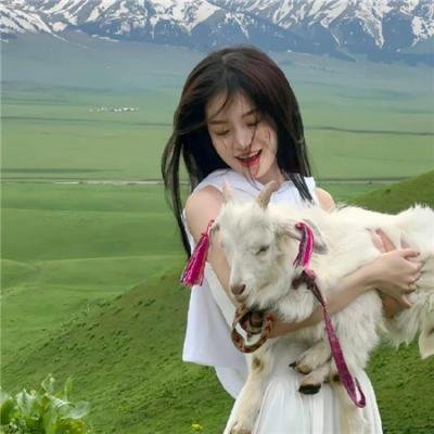 虹猫蓝兔火凤凰